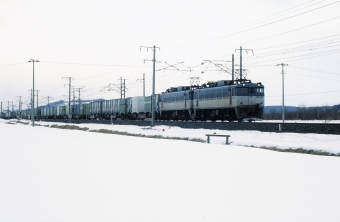 JR貨物 国鉄ED79形電気機関車 ED79 60 鉄道フォト・写真 by 北東航1さん 好摩駅 (JR)：1996年02月11日00時ごろ