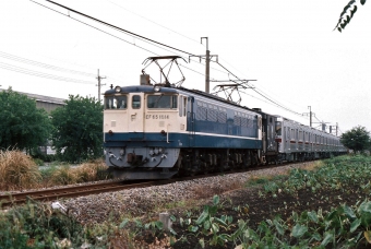 国鉄EF65形電気機関車 EF65 1014 鉄道フォト・写真 by 北東航1さん 鶴田駅：1985年09月15日00時ごろ