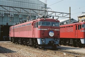 国鉄EF70形電気機関車 EF70 1002 鉄道フォト・写真 by 北東航1さん 敦賀駅 (JR)：1985年07月29日00時ごろ