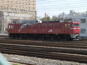 JR東日本 国鉄EF81形電気機関車 EF81 133 鉄道フォト・写真 by 北東航1さん 水戸駅 (JR)：2013年03月06日13時ごろ