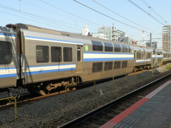 サロE216-8 鉄道フォト・写真