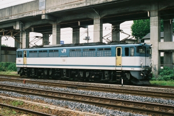 JR貨物 国鉄EF65形電気機関車 EF65 1037 鉄道フォト・写真 by 北東航1さん 宇都宮駅：2008年07月11日00時ごろ