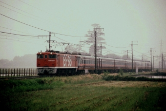 JR東日本 国鉄EF65形電気機関車 EF65 1019 鉄道フォト・写真 by 北東航1さん 野木駅：1992年10月10日00時ごろ