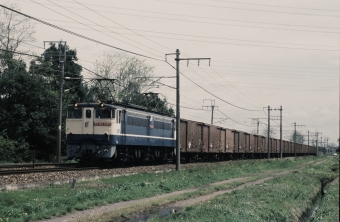 JR貨物 国鉄EF65形電気機関車 EF65 1090 鉄道フォト・写真 by 北東航1さん 野木駅：1992年05月01日00時ごろ