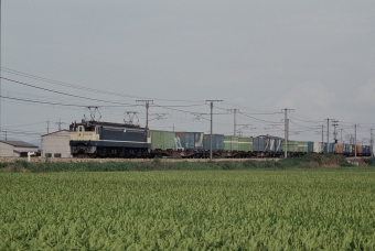 JR貨物 国鉄EF65形電気機関車 EF65 1040 鉄道フォト・写真 by 北東航1さん 中庄駅：1990年09月24日00時ごろ