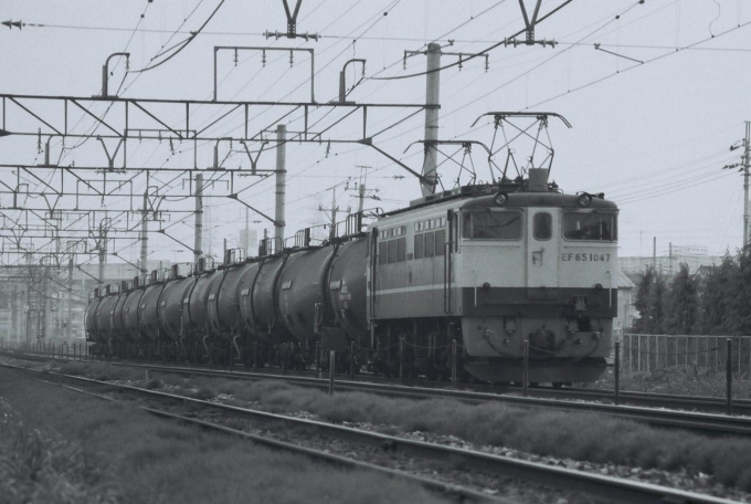 国鉄EF65形電気機関車 EF65 1047 鉄道フォト・写真 by 北東航1さん 宇都宮駅：1985年06月09日00時ごろ