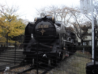 国鉄D51形蒸気機関車 D51 453 鉄道フォト・写真 by 北東航1さん 柏駅 (東武)：2012年11月28日12時ごろ