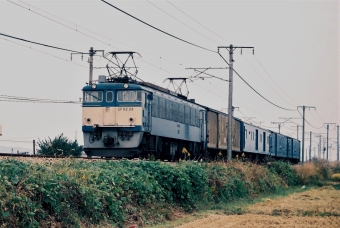 国鉄EF62形電気機関車 EF62 24 鉄道フォト・写真 by 北東航1さん 中庄駅：1986年10月28日00時ごろ