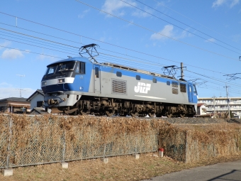 JR貨物 EF210形 EF210-8 鉄道フォト・写真 by 北東航1さん 岡本駅 (栃木県)：2013年12月22日09時ごろ