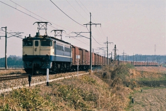 JR貨物 国鉄EF65形電気機関車 EF65 1068 鉄道フォト・写真 by 北東航1さん 岡本駅 (栃木県)：1987年11月29日00時ごろ