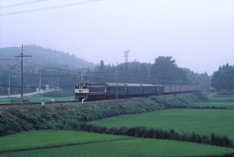 JR東日本 国鉄EF65形電気機関車 カートレイン北海道 鉄道フォト・写真 by 北東航1さん 片岡駅：1988年08月07日00時ごろ