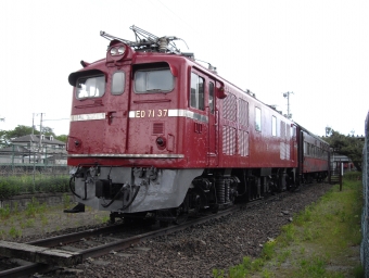 ED71形 鉄道フォト・写真