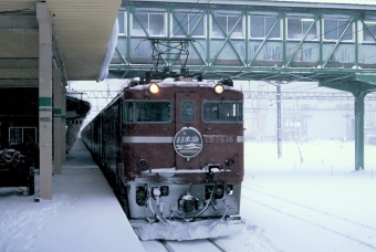JR北海道 国鉄ED79形電気機関車 日本海(特急) ED79 16 鉄道フォト・写真 by 北東航1さん 青森駅 (JR)：1988年12月22日00時ごろ