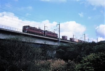 JR北海道 国鉄ED79形電気機関車 鉄道フォト・写真 by 北東航1さん 知内駅：2002年10月12日00時ごろ