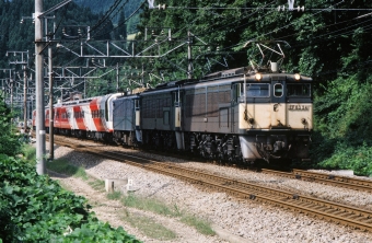 JR東日本 国鉄EF63形電気機関車 EF63 24 鉄道フォト・写真 by 北東航1さん 横川駅 (群馬県)：1996年09月15日00時ごろ