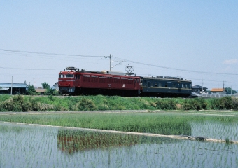 JR東日本 国鉄EF81形電気機関車 EF81 57 鉄道フォト・写真 by 北東航1さん 新治駅：1996年05月25日00時ごろ