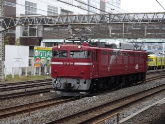 JR東日本 国鉄EF81形電気機関車 EF81 80 鉄道フォト・写真 by 北東航1さん 馬橋駅 (JR)：2012年11月28日12時ごろ