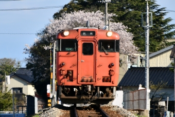 JR西日本 キハ47形 キハ47 42 鉄道フォト・写真 by spockerさん 氷見駅：2021年04月10日15時ごろ