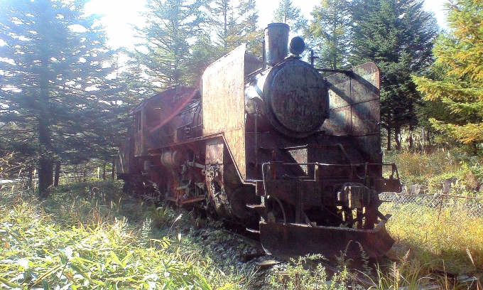鉄道フォト・写真：国鉄C56形蒸気機関車 C56 149 美しの森たかね荘（現在は移設） 鉄道フォト・写真 by spockerさん - 撮影日 2008/10/13 14:05