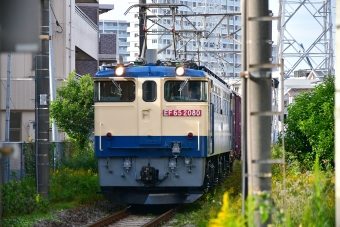 JR貨物 国鉄EF65形電気機関車 EF65-2080 鉄道フォト・写真 by spockerさん 尻手駅：2021年11月19日13時ごろ