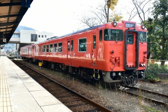 JR西日本 キハ41形 キハ41 2005 鉄道フォト・写真 by spockerさん 和田山駅：2021年11月23日10時ごろ
