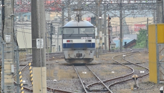 JR貨物 EF210形 EF210-116 鉄道フォト・写真 by spockerさん 八王子駅：2015年07月04日15時ごろ
