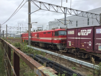 JR貨物 EH800形 EH800-11 鉄道フォト・写真 by spockerさん 木古内駅 (JR)：2016年09月09日11時ごろ