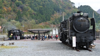 国鉄D51形蒸気機関車 D51 745 鉄道フォト・写真 by spockerさん 水上駅：2013年11月09日13時ごろ