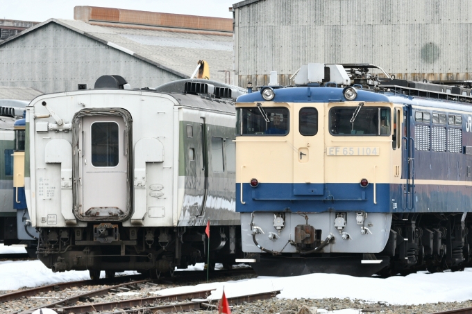 JR東日本 国鉄EF65形電気機関車 EF65ｰ1104 長野駅 (JR) 鉄道フォト 