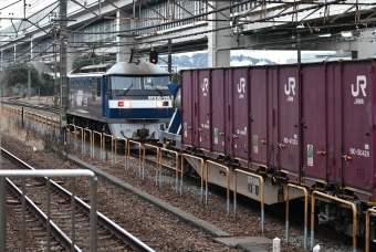 JR貨物 EF210形 EF210-155 鉄道フォト・写真 by spockerさん 根岸駅 (神奈川県)：2022年03月08日16時ごろ