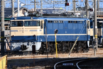 JR東日本 国鉄EF65形電気機関車 EF65-501 鉄道フォト・写真 by spockerさん 高崎駅 (JR)：2022年03月27日16時ごろ