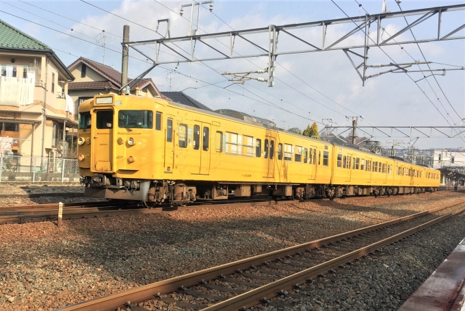 JR西日本 クハ115形 クハ115-2539 鉄道フォト・写真 by spockerさん 前空駅：2015年01月27日10時ごろ