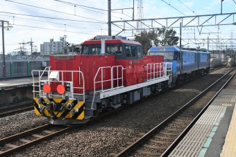 JR貨物 HD300形 HD300-29 鉄道フォト・写真 by spockerさん 新座駅：2019年10月20日10時ごろ
