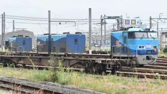 JR貨物 Mc250形 Mc250-5 鉄道フォト・写真 by spockerさん ：2019年11月03日13時ごろ