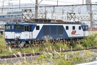 JR貨物 国鉄EF64形電気機関車 EF64-1010 鉄道フォト・写真 by spockerさん ：2019年11月03日13時ごろ