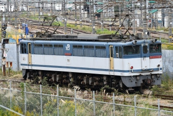 JR貨物 国鉄EF65形電気機関車 EF65-2090 鉄道フォト・写真 by spockerさん ：2019年11月03日14時ごろ