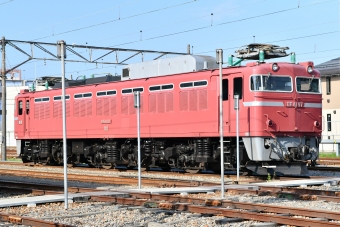 JR東日本 国鉄EF81形電気機関車 EF81-97 鉄道フォト・写真 by spockerさん 長岡駅：2023年05月20日16時ごろ