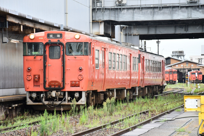 キハ535 番号板掘り字 hqdefault.jpg