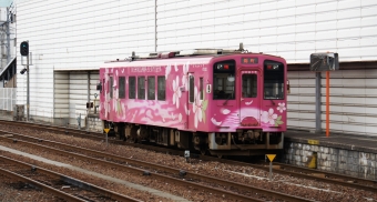 錦川鉄道 ひだまり号 NT3002 鉄道フォト・写真 by nervさん 岩国駅：2014年01月19日14時ごろ