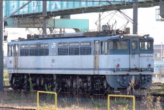 JR貨物 国鉄EF65形電気機関車 EF65-1003 鉄道フォト・写真 by ちゃぽんさん 熊谷駅 (JR)：2004年11月23日13時ごろ