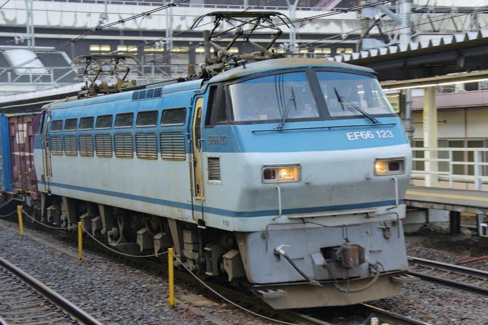 JR貨物 国鉄EF66形電気機関車 EF66123 大宮駅 (埼玉県JR) 鉄道フォト・写真(拡大) by ちゃぽんさん レイルラボ