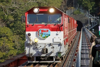 DD202 鉄道フォト・写真
