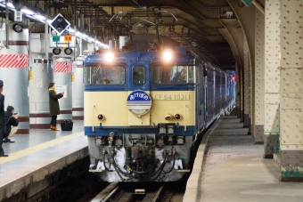 JR東日本 国鉄EF64形電気機関車 EF64-1031 鉄道フォト・写真 by ちゃぽんさん 上野駅 (JR)：2014年03月10日06時ごろ