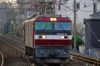 JR貨物 EH500形 EH500-5 鉄道フォト・写真 by ちゃぽんさん 土呂駅：2020年03月22日17時ごろ