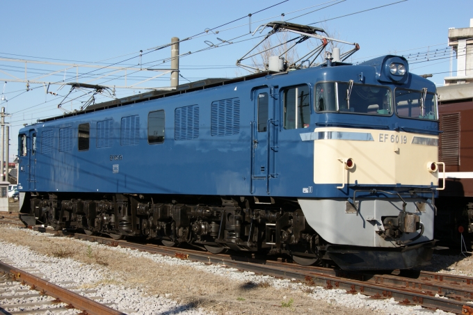JR東日本 国鉄EF60形電気機関車 EF60-19 鉄道フォト・写真 by ちゃぽんさん 高崎駅 (JR)：2009年12月22日13時ごろ
