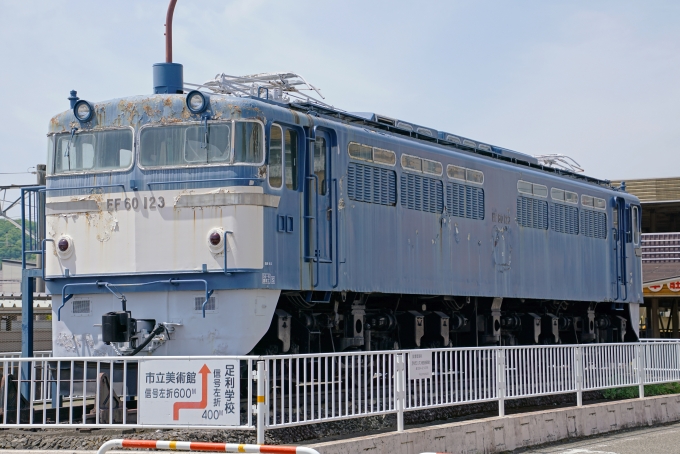 国鉄EF60形電気機関車 EF60-123 鉄道フォト・写真 by ちゃぽんさん 足利駅：2021年04月24日11時ごろ