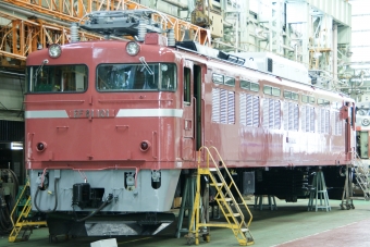 JR西日本 国鉄EF81形電気機関車 EF81-101 鉄道フォト・写真 by ちゃぽんさん 松任駅：2010年08月22日11時ごろ