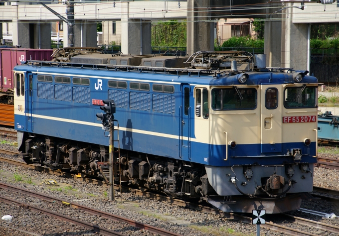 JR貨物 国鉄EF65形電気機関車 EF65-2074 鉄道フォト・写真 by ちゃぽんさん 石橋駅 (栃木県)：2021年05月30日08時ごろ
