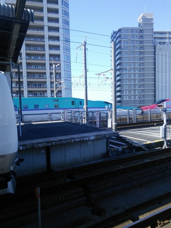 JR北海道 H5系新幹線電車 鉄道フォト・写真 by ガー君さん 武蔵浦和駅：2020年02月03日00時ごろ