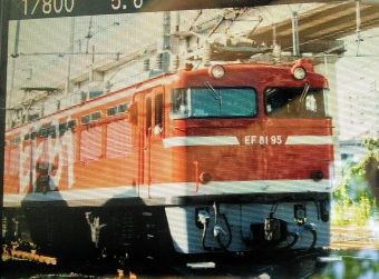 JR東日本 国鉄EF81形電気機関車 EF81-95 鉄道フォト・写真 by ガー君さん 東十条駅：2020年09月30日14時ごろ